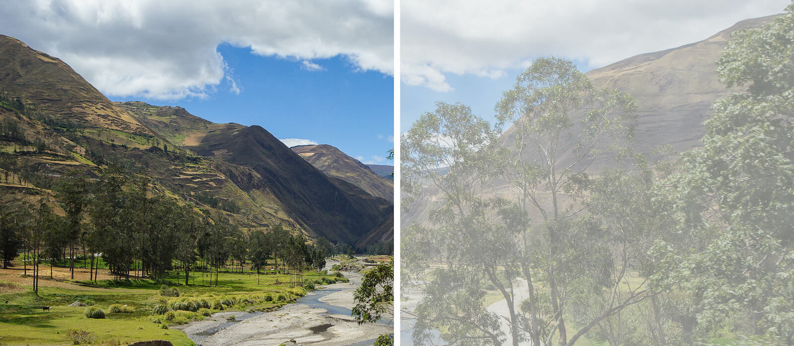 Valley with one side showing normal view and one side showing view with a cataract