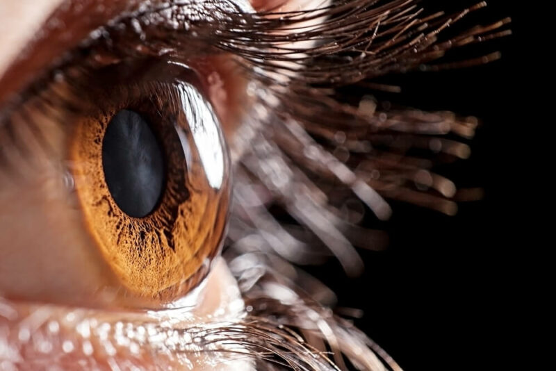 Very closeup of a brown eye